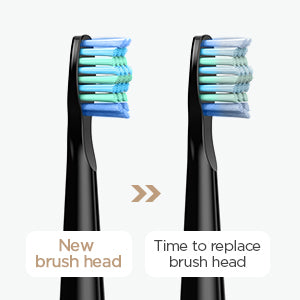 Fairywill Electric Sonic Toothbrush FW-D7 USB Charge Rechargeable Adult Waterproof Electronic Tooth Brushes Replacement Heads 8