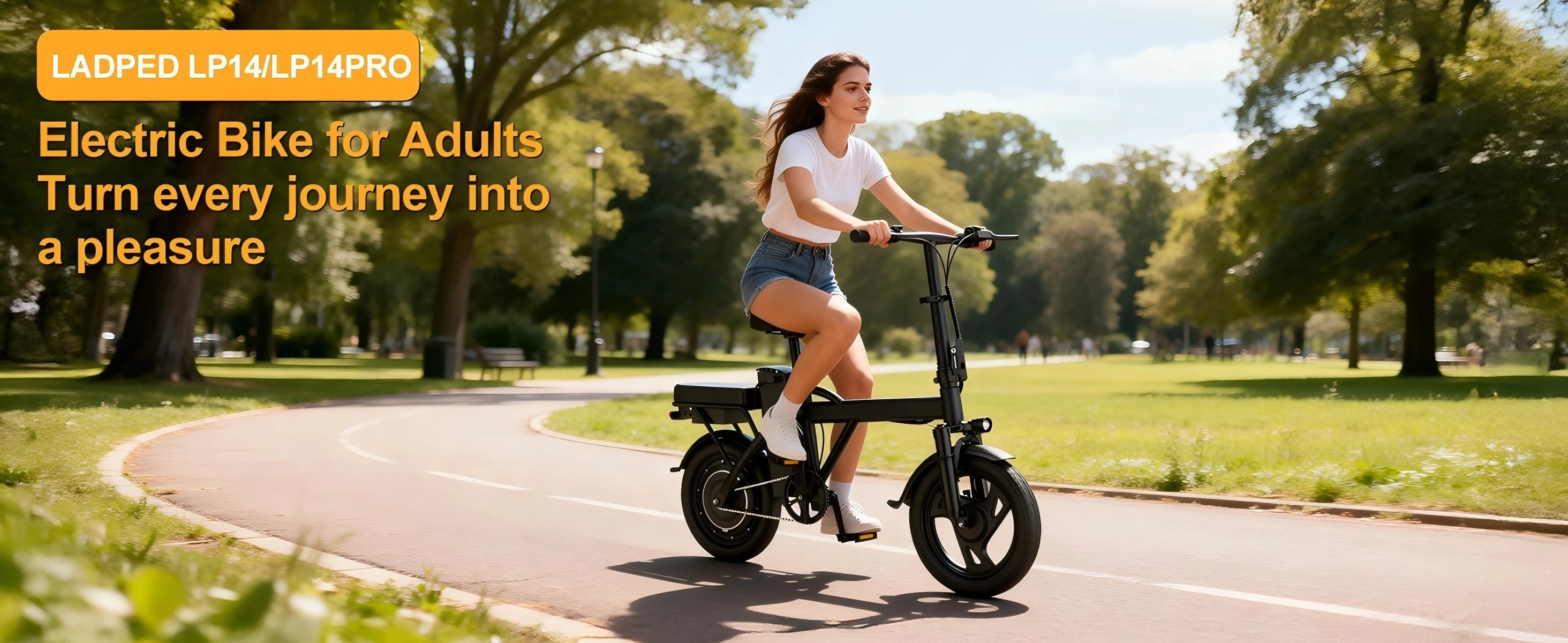 14'' Foldable Electric Bike 500W Motor 48V Battery 22MPH Max Speed 30Miles Long Range with Two Seats for Adult Mini E Bike
