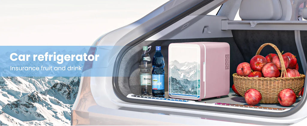 6L/9L LED Mirror Mini Fridge With Light 12V 240V Portable Cosmetic Refrigerator Cooler Warmer for Car Home Makeup Skincare