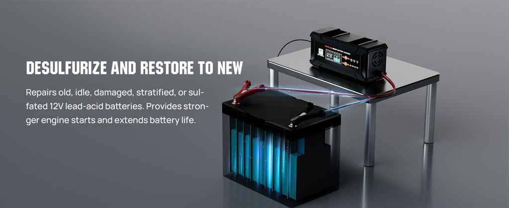 ECO-Worthy 12V/24V 20A Smart Battery Charger Maintainer, Auto Voltage Detect for LiFePO4 Lead-Acid with Multi-Current Options 5A