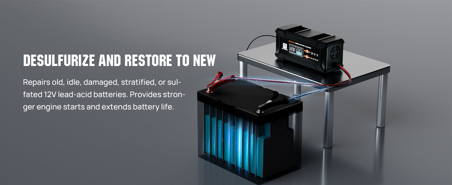 ECO-Worthy 12V/24V 20A Smart Battery Charger Maintainer, Auto Voltage Detect for LiFePO4 Lead-Acid with Multi-Current Options 5A
