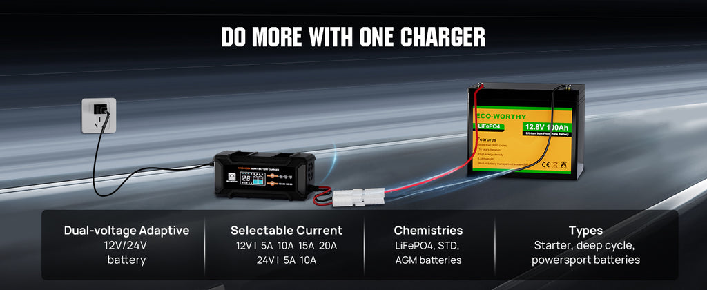 ECO-Worthy 12V/24V 20A Smart Battery Charger Maintainer, Auto Voltage Detect for LiFePO4 Lead-Acid with Multi-Current Options 5A